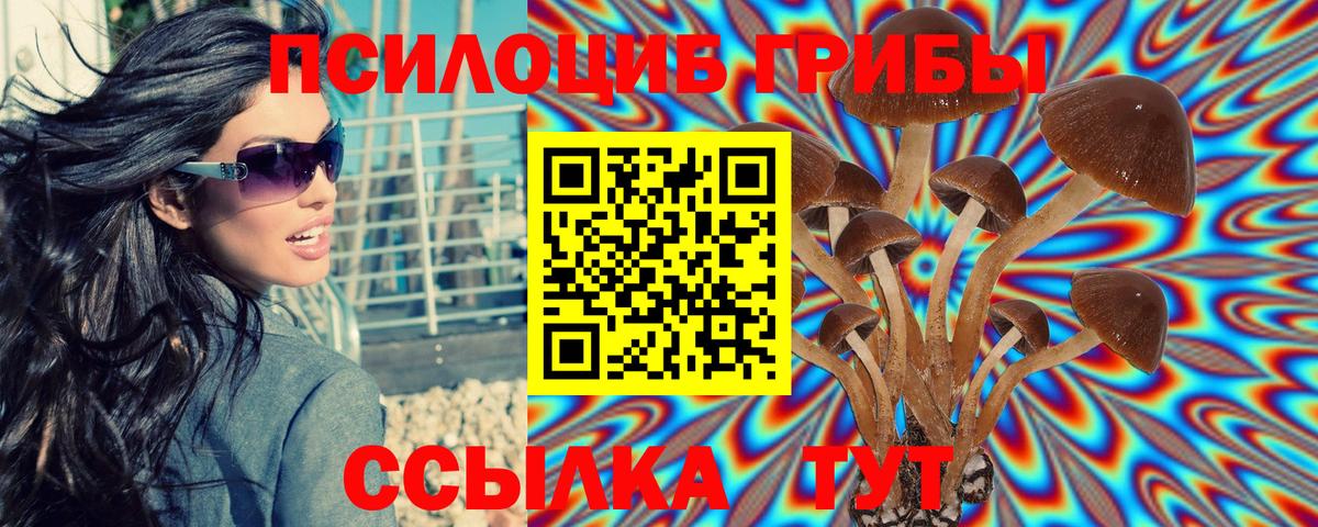Великий Устюг  Галлюциногенные грибы Psilocybine cubensis  Псилоцибиновые грибы мицелий  Вход с VPN 