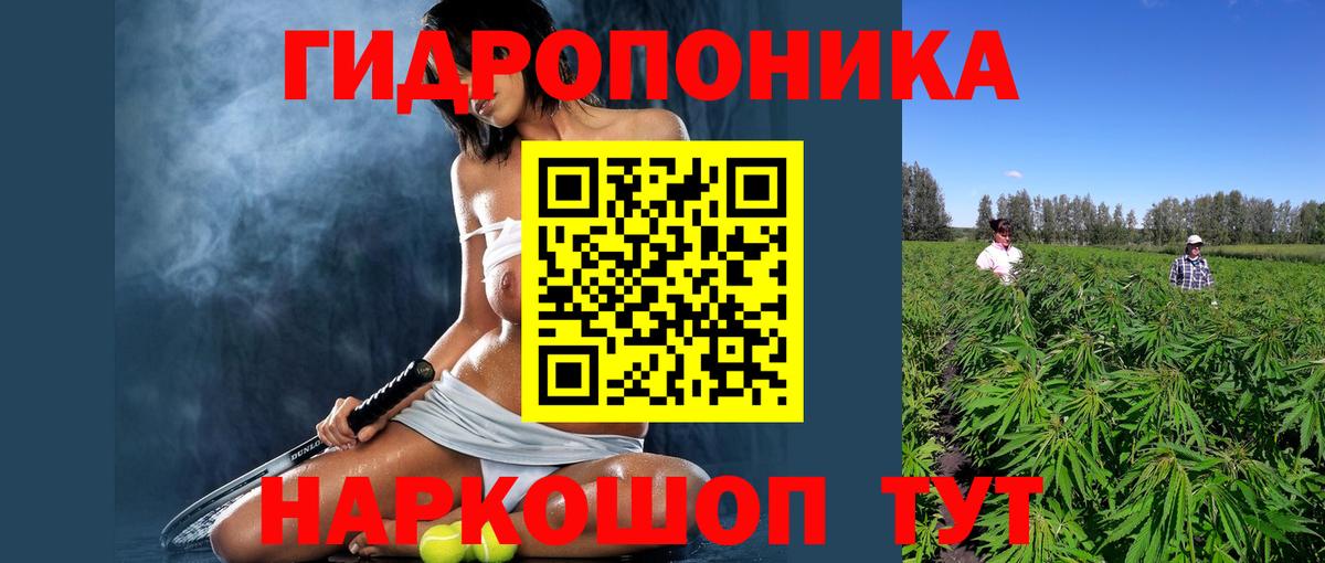 Конопля ГИДРОПОН  Вход с VPN  Великий Устюг  Бошки Шишки индика 